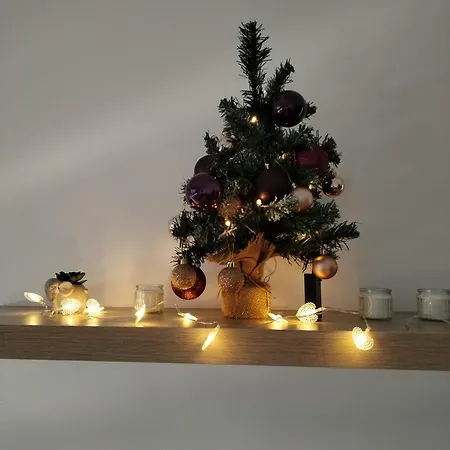 Apartment S&b *